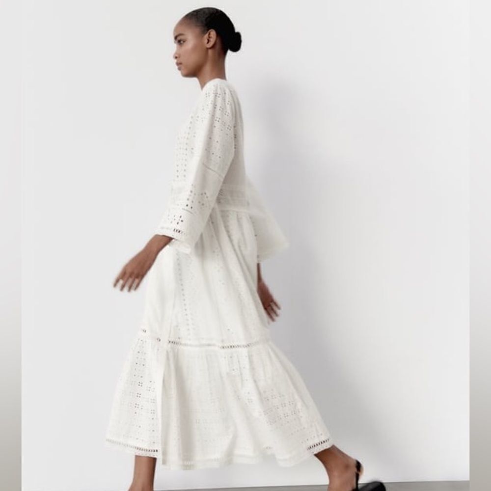 Zara Embroidered Openwork Dress - Picture 8 of 10